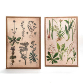 Toile Fleurs D Ete 2Da40X60