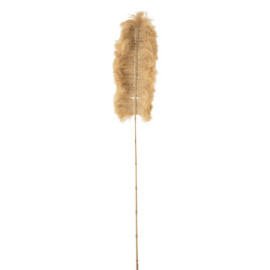 Branche Herbe Rotin Beige