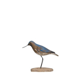 Petit Oiseau Bleu Long Bec